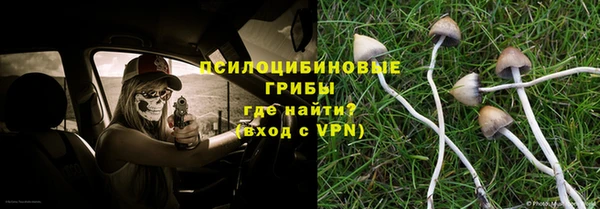крисы Кинешма